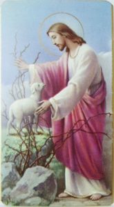 Jesus finds a lost lamb