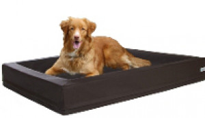 Waterbed for Dogs